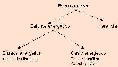 wpe14.jpg (10641 bytes)